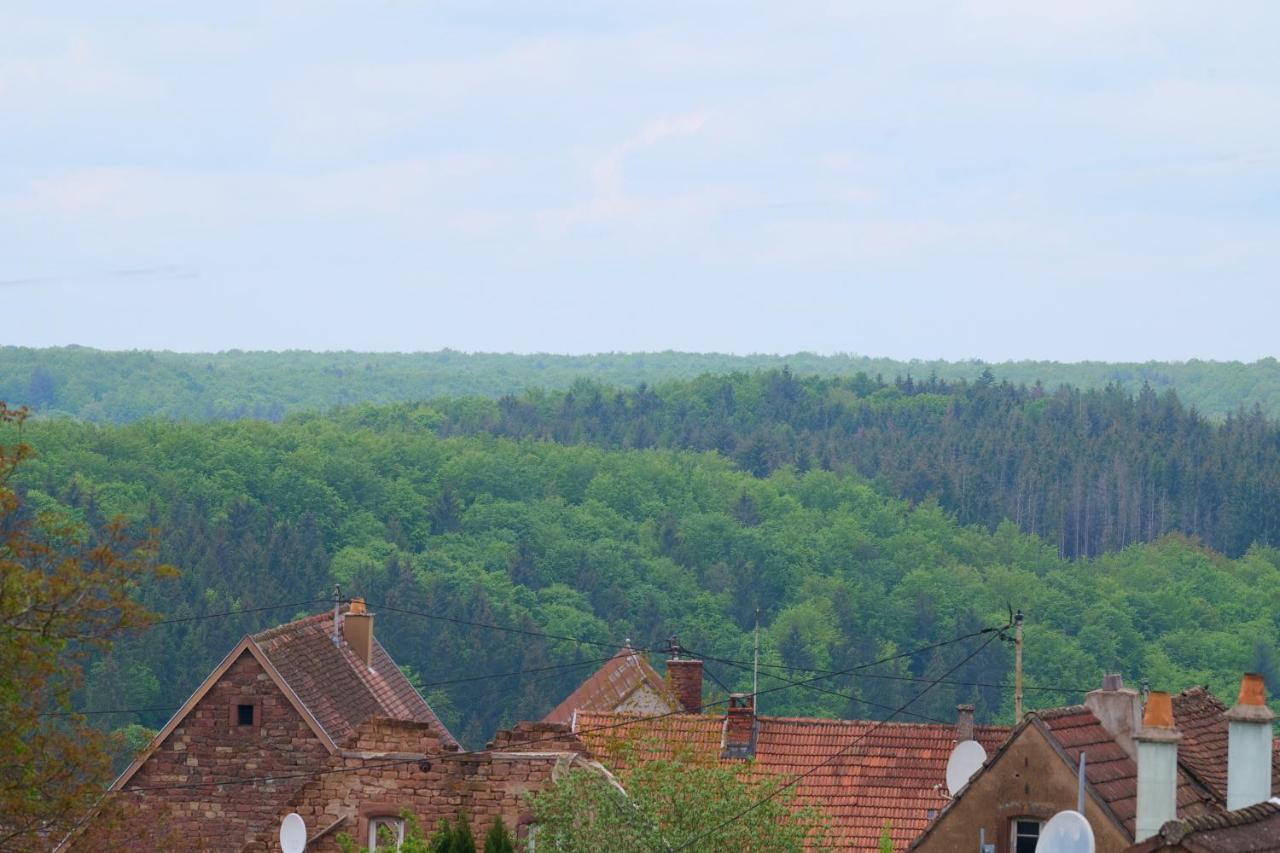 Le Pommier - Appt Avec Jardin Partage Lägenhet Puberg Exteriör bild